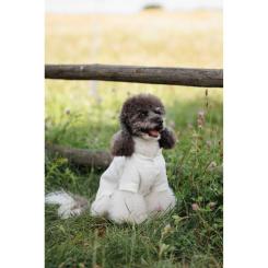 Футболка для животных Pet Fashion Ostap XS2 Фото 10