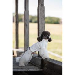 Футболка для животных Pet Fashion Ostap XS2 Фото 11