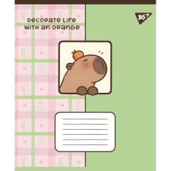 Тетрадь Yes Capy vibes А5 18 аркушів лінія Фото 2