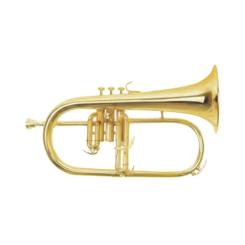 Флюгельгорн Maxtone TFC51LM Фото