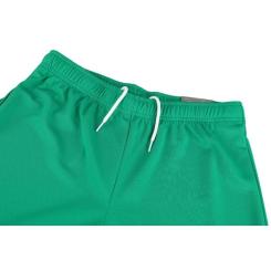 Шорты Puma teamRISE Short 704942-05 зелений M Фото 9