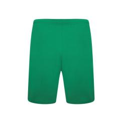 Шорты Puma teamRISE Short 704942-05 зелений M Фото 2