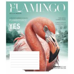 Тетрадь Школярик Fauna magazine 18 аркушів клітинка Фото