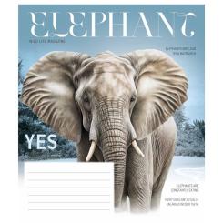 Тетрадь Школярик Fauna magazine 18 аркушів клітинка Фото 2