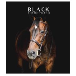Тетрадь Школярик Black classic 96 аркушів лінія Фото
