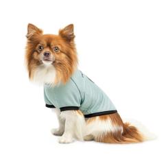 Футболка для животных Pet Fashion Oscar XS2 блакитна Фото 2