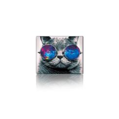 Коврик для мышки Voltronic Cat with Glasses Фото
