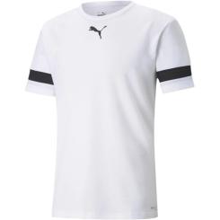 Футболка Puma teamRISE Jersey 704932-04 білий S Фото
