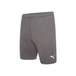 Шорты Puma teamRISE Short 704942-13 сірий XXL Фото