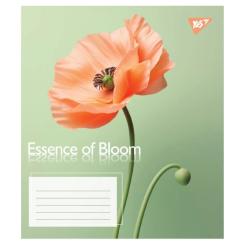 Тетрадь Yes Essence of Bloom А5 48 листов линия Фото 3