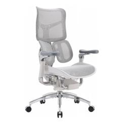 Офисное кресло Sihoo DORO S300 Mesh Light Grey Фото