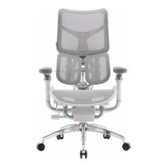 Офисное кресло Sihoo DORO S300 Mesh Light Grey Фото 1