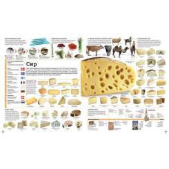 Книга Ранок Дивипедія Фото 11