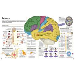 Книга Ранок Дивипедія Фото 3