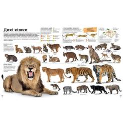 Книга Ранок Дивипедія Фото 7