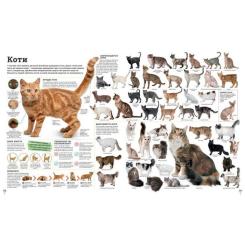 Книга Ранок Дивипедія Фото 8