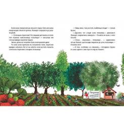 Книга Ранок Літо на Бузиновій вулиці - Мартіна Баумбах Фото 10