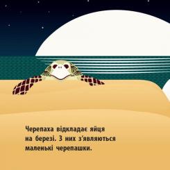 Книга Ранок Морський народ - Мадлєн Роджерс Фото 6