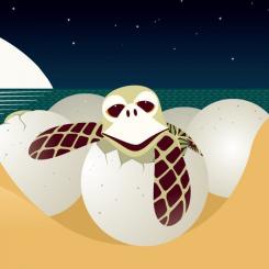 Книга Ранок Морський народ - Мадлєн Роджерс Фото 7