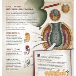 Книга Ранок Як працює людський мозок - Пабло Барречеґурен Фото 2