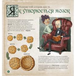 Книга Ранок Як працює людський мозок - Пабло Барречеґурен Фото 3