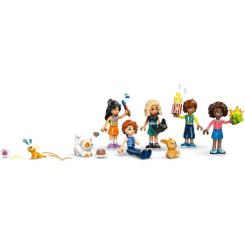 Конструктор LEGO Friends Клубный дом друзей HLC Фото 6