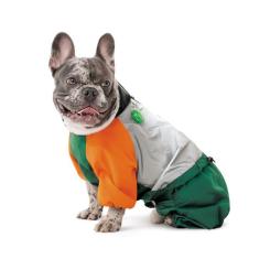 Дождевик для животных Pet Fashion Marlie М2 Фото 3