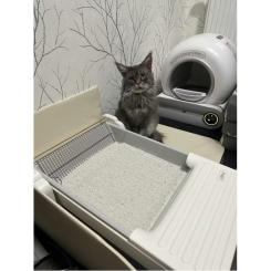 Туалет для кошек Ubpet Умный самоочищающийся Фото 3