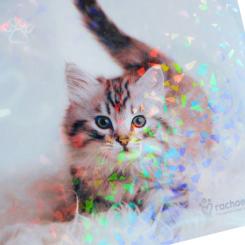 Папка – уголок Kite А4 Rachael Hale Фото 3