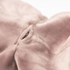 Комбинезон для животных Pet Fashion Sharon S2 мокко Фото 3