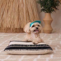 Кепка для животных Pet Fashion Topaz S Фото 5