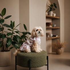 Платье для животных Pet Fashion Amelia XS2 Фото 5