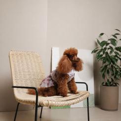 Платье для животных Pet Fashion Amelia XS2 Фото 6