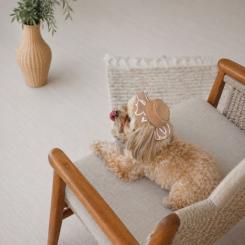 Кепка для животных Pet Fashion Print S Фото 4