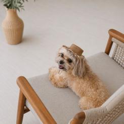 Кепка для животных Pet Fashion Print S Фото 5
