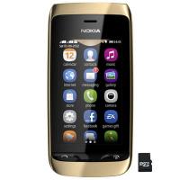 Мобильный телефон Nokia 308 (Asha) Golden Light Фото