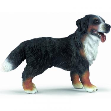 Фигурка Schleich Бернская горная собака Фото