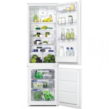 Холодильник Zanussi ZBB 928465 S Фото