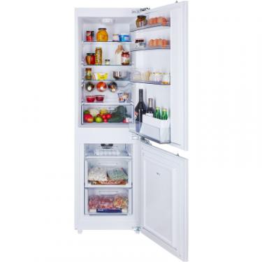 Холодильник Freggia LBBF1660 Фото