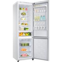 Холодильник Samsung RL50RFBSW Фото