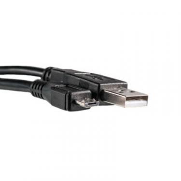 Дата кабель PowerPlant USB 2.0 AM to Micro 5P 0.5m Фото