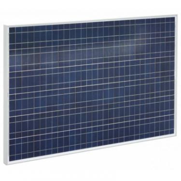 Солнечная панель EnerGenie 300W поликристалическая Фото