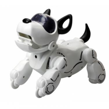 Интерактивная игрушка Silverlit собака-робот PUPBO Фото