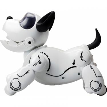 Интерактивная игрушка Silverlit собака-робот PUPBO Фото 1