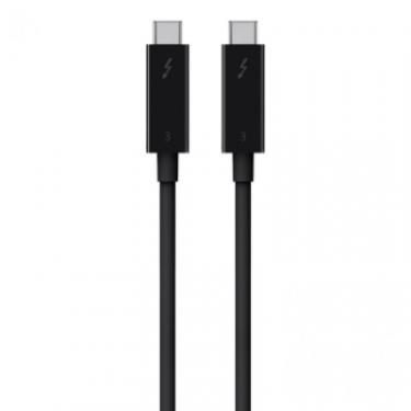 Дата кабель Belkin USB-C to USB-C 2.0m Thunderbolt™ 3 100W Фото