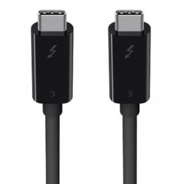 Дата кабель Belkin USB-C to USB-C 2.0m Thunderbolt™ 3 100W Фото 1
