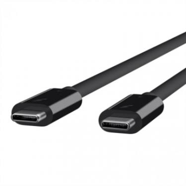 Дата кабель Belkin USB-C to USB-C 2.0m Thunderbolt™ 3 100W Фото 2