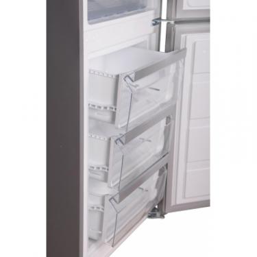 Холодильник Liberty DRF-380 NX Фото 3