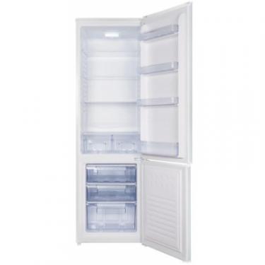Холодильник Nord HR 239 W Фото 1