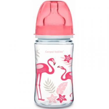 Бутылочка для кормления Canpol babies с широким горлышком антиколиковая Jungle, кораллов Фото